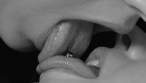 Lick [18+].jpg