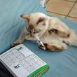 Sudoku.jpg