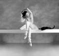 Ballet [18+].jpg