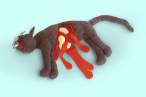 Dead Kitty.jpg