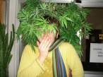 Weed.jpg