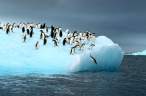 Nice Picture6.jpg
