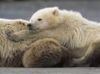 Hug.jpg