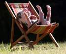 Pig Just Chillin.jpg