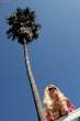 Palm [18+].jpg