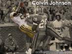 CalvinJohnson1.jpg