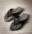 Slippers.jpg