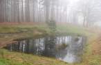 Pond.jpg