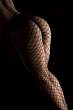 Fishnet Fetish [+18].jpg