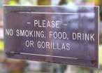 No Gorillas Allowed.jpg