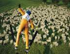Soft landing.jpg