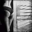 Stripes [18+].jpg