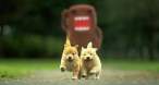 Puppies.jpg