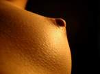 Golden Breast [+18].jpg
