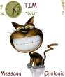 _cat_nseries.jpg