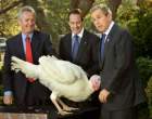 Bush Loves Turkey.jpg