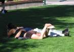 Park Camping.jpg