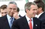 George Bush Stinks.jpg