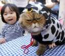 Cat in a Cow Costume.jpg