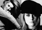 Catherine Deneuve11.jpg