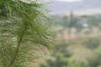 Nature.jpg