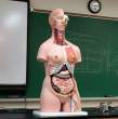 Sample human.jpg