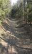 Narrow-Gauge Railway.jpg