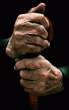 Old hands.jpg