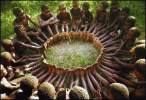 Feet circle.jpg