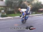 adrenalin7.GIF