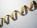 Measure.jpg