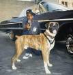 Snoop.jpg