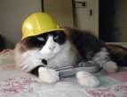 construction.jpg