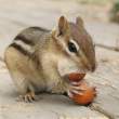 Hungry.jpg
