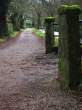 The Beaten Track.jpg