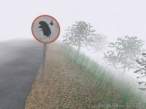 Hedge hog.jpg