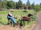 Mailbox Farmer.jpg