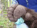 Big Feet.jpg