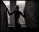 Window [18+].jpg