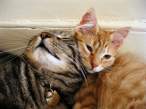 Hug.jpg