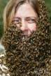 Bees.jpg