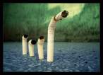 Smoker.jpg