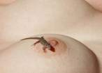 Lizzard [18+].jpg