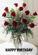 rosescopyjg4.jpg