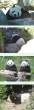 Panda.jpg