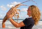 Giant crab.jpg