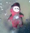 Dead tubby.jpg