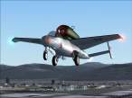 he162 salamander s.jpg