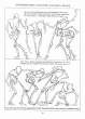 (eBook - English) Andrew Loomis - Figure Drawing - For All It's Worth_Page_034_Image_0001.jpg