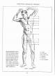 (eBook - English) Andrew Loomis - Figure Drawing - For All It's Worth_Page_076_Image_0001.jpg